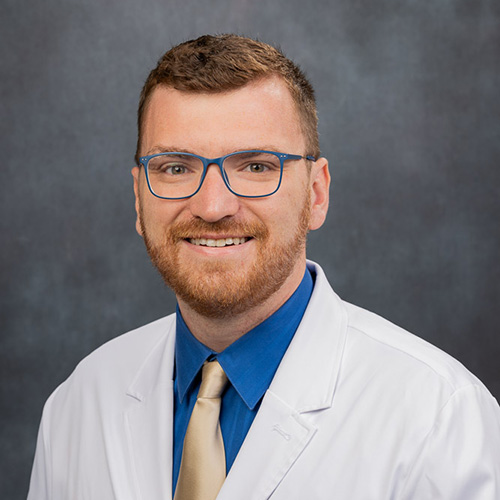 Portrait of David Tierney, Ph.D.